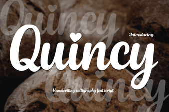 Quincy Font: Elegant Typography for Creative Projects